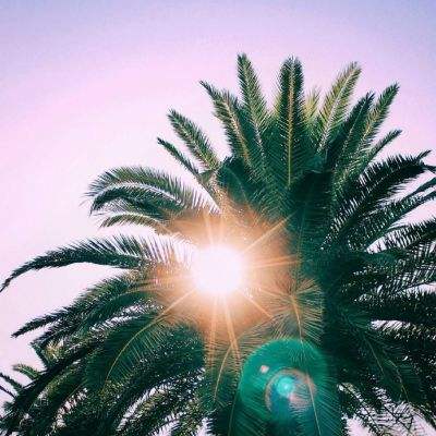 ku体育app官网版下载截图