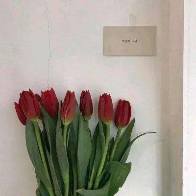 乐发彩票APP下载手机app下载