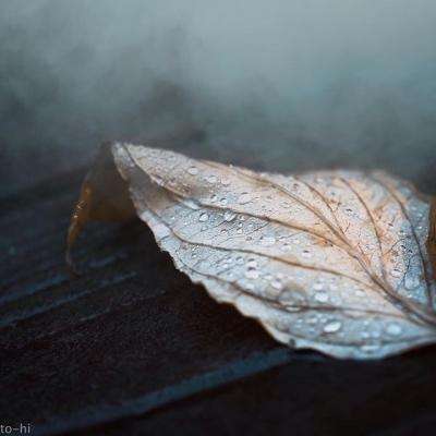 ku体育app官网版下载