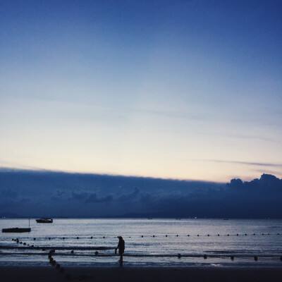 凤凰彩票appapp下载